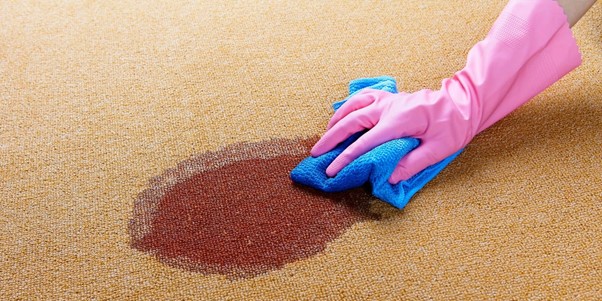 راهنمای گام به گام نحوه استفاده شامپو فرش